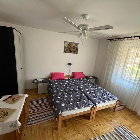 Apartman Velojic Donji Milanovac Exterior photo